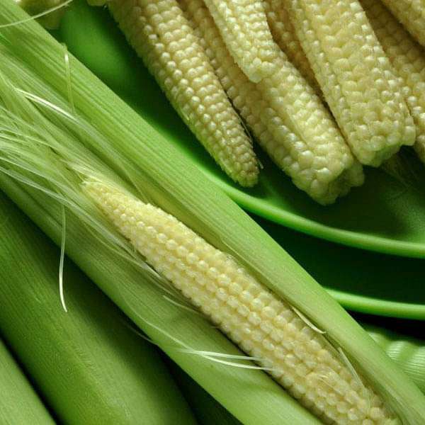 babycorn