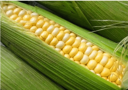 sweetcorn