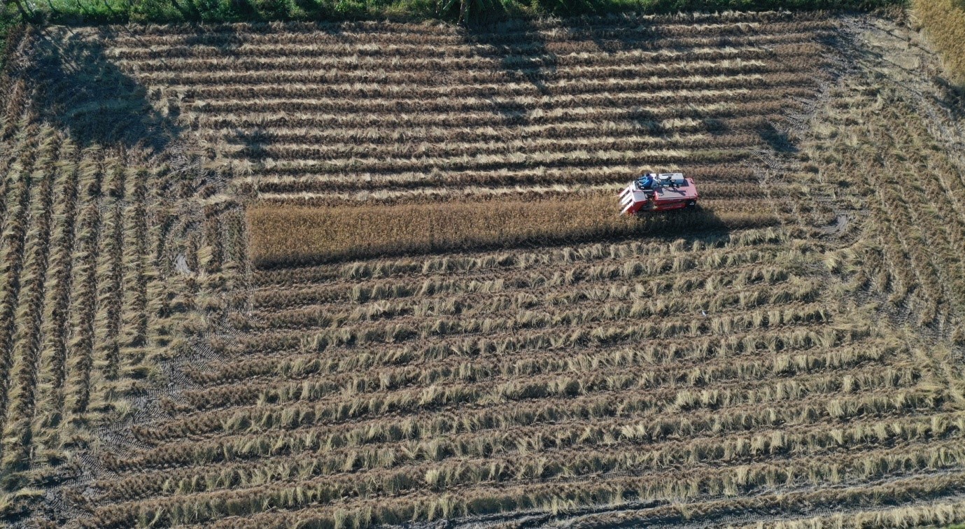 harvesting